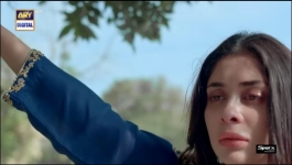 Mein - Episode 29 - 23rd January 2024